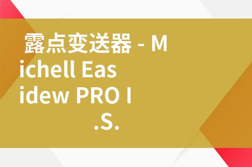 ${自定義變量_問(wèn)題}